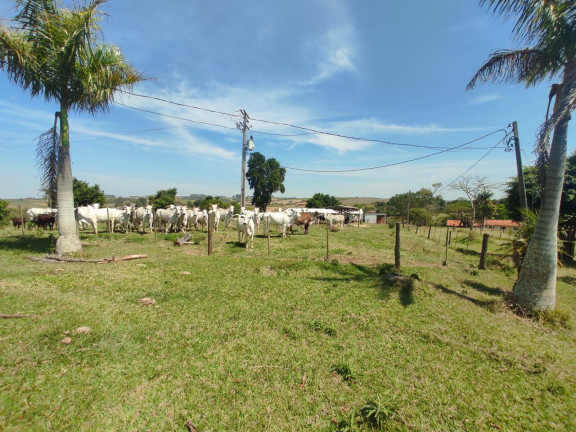 Imagem Chácara com 4 Quartos à Venda, 242 m² em Cercadinho - Alambari Imagem Chácara com 4 Quartos à Venda, 242 m² em Cercadinho - Alambari