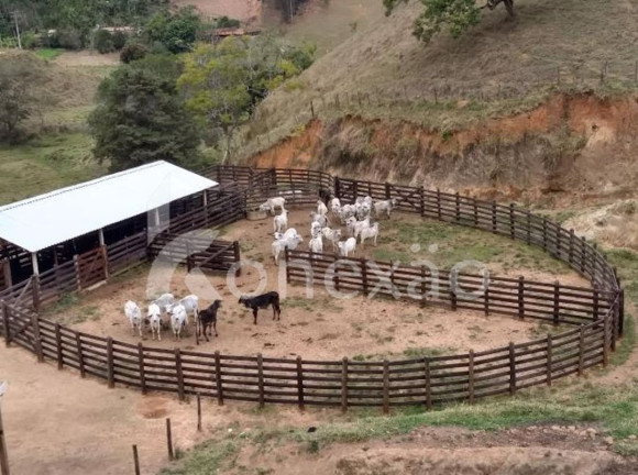 Fazenda à Venda, 90 m² em Pouso Alto - Natividade Da Serra
