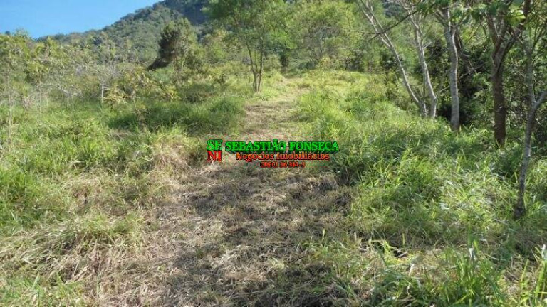 Imagem Chácara à Venda, 72.600 m² em São Francisco Xavier - São José Dos Campos Imagem Chácara à Venda, 72.600 m² em São Francisco Xavier - São José Dos Campos
