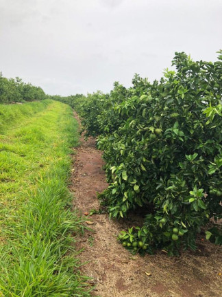 Imagem Chácara à Venda, 14 m² em Rural - águas De Santa Bárbara