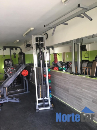 Imagem Apartamento com 2 Quartos à Venda, 54 m² em Vila Palmeiras - São Paulo