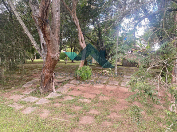 Imagem Chácara com 3 Quartos à Venda, 10.000 m² em Jarinu Imagem Chácara com 3 Quartos à Venda, 10.000 m² em Jarinu