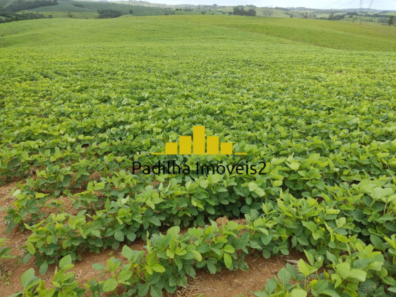Imagem Chácara à Venda, 20 m² em Pilar Do Sul Imagem Chácara à Venda, 20 m² em Pilar Do Sul