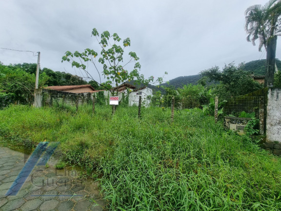 Imagem Terreno à Venda, 450 m² em Ressaca - Ubatuba Imagem Terreno à Venda, 450 m² em Ressaca - Ubatuba