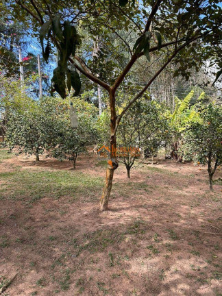 Imagem Chácara com 4 Quartos à Venda, 5.700 m² em Mascate - Nazaré Paulista Imagem Chácara com 4 Quartos à Venda, 5.700 m² em Mascate - Nazaré Paulista