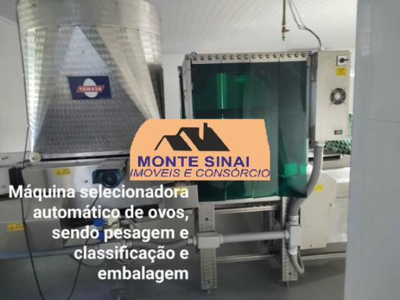Imagem Chácara com 5 Quartos à Venda, 10 m² em Jardim Marabá - Itapetininga Imagem Chácara com 5 Quartos à Venda, 10 m² em Jardim Marabá - Itapetininga