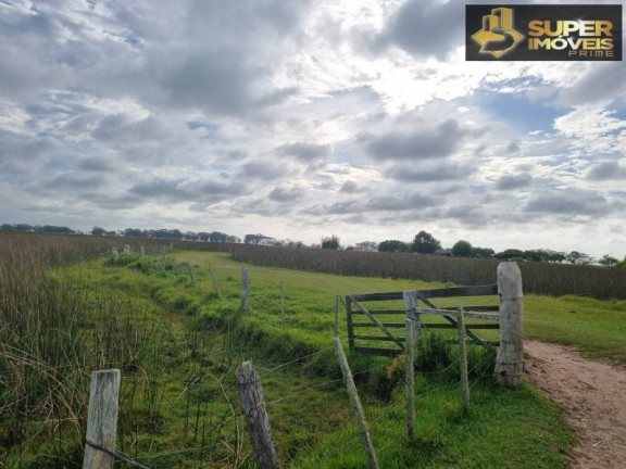 Imagem Imóvel com 2 Quartos à Venda, 14.700.000 m² em Quinta - Rio Grande
