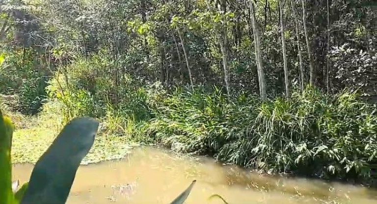 Imagem Chácara à Venda, 140 m² em Azurita - Mateus Leme