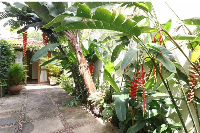 Imagem Casa com 3 Quartos à Venda, 216 m² em Jardim Paulista - São Paulo