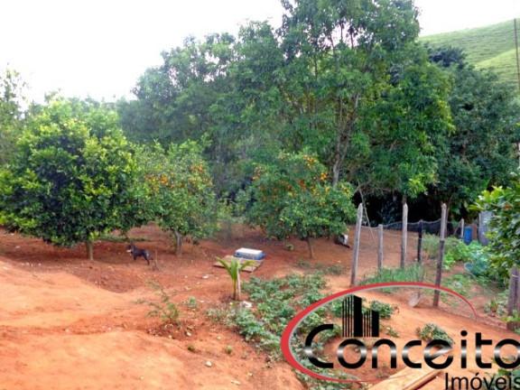 Imagem Terreno à Venda, 20 m² em Centro - São Luiz Do Paraitinga Imagem Terreno à Venda, 20 m² em Centro - São Luiz Do Paraitinga