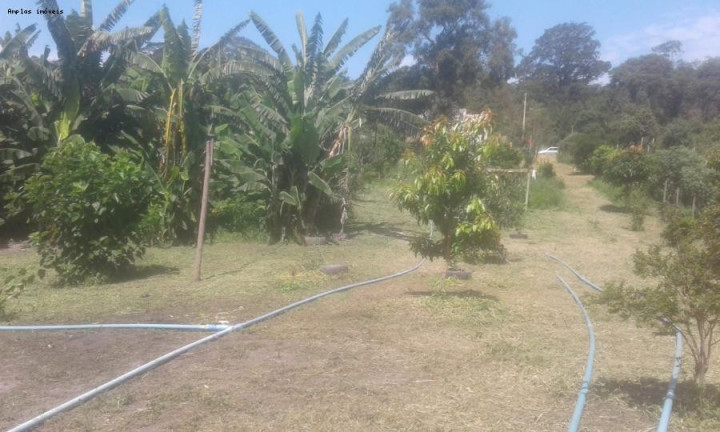 Imagem Chácara com 3 Quartos à Venda, 90 m² em Azurita - Mateus Leme Imagem Chácara com 3 Quartos à Venda, 90 m² em Azurita - Mateus Leme