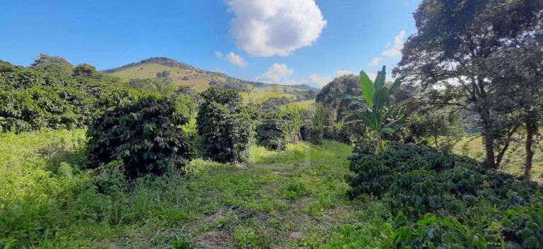 Imagem Imóvel à Venda, 3 m² em Milho Verde - Bandeira Do Sul Imagem Imóvel à Venda, 3 m² em Milho Verde - Bandeira Do Sul