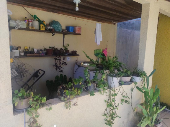 Imagem Casa com 3 Quartos à Venda, 1.029 m² em Cecília - Viamão Imagem Casa com 3 Quartos à Venda, 1.029 m² em Cecília - Viamão