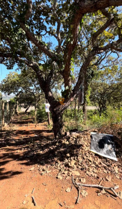 Imagem Terreno à Venda, 1 m² em Alto Jóa - Lagoa Santa Imagem Terreno à Venda, 1 m² em Alto Jóa - Lagoa Santa