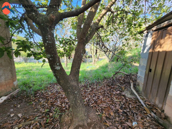 Imagem Chácara com 2 Quartos à Venda, 1.333 m² em Centro - Itu Imagem Chácara com 2 Quartos à Venda, 1.333 m² em Centro - Itu