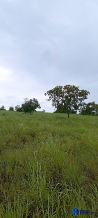 Imagem Fazenda à Venda, 294 m² em Zona Rural - Arraias Imagem Fazenda à Venda, 294 m² em Zona Rural - Arraias
