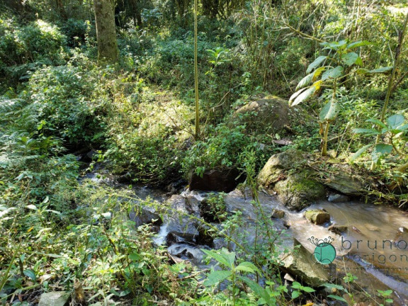 Imagem Imóvel à Venda, em Zona Rural - Alfredo Wagner Imagem Imóvel à Venda, em Zona Rural - Alfredo Wagner