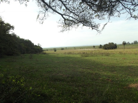 Imagem Chácara à Venda, 8 m² em águas Claras - Viamão Imagem Chácara à Venda, 8 m² em águas Claras - Viamão