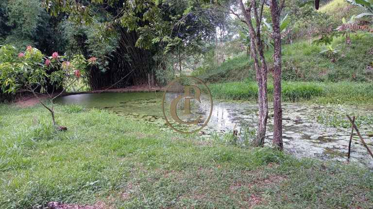 Imagem Chácara com 3 Quartos à Venda, 80.000 m² em Buquirinha - São José Dos Campos Imagem Chácara com 3 Quartos à Venda, 80.000 m² em Buquirinha - São José Dos Campos