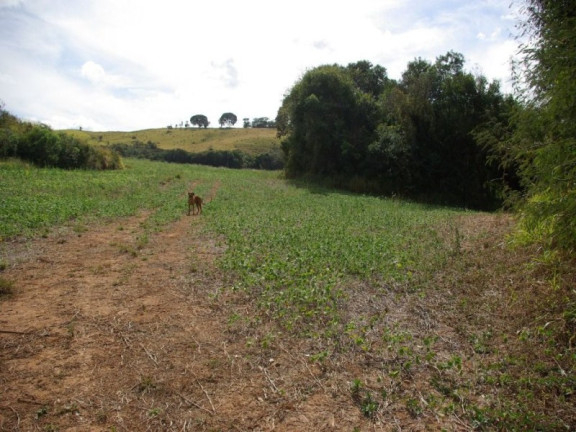Imagem Imóvel à Venda, 435.600 m² em Zona Rural - Jacui