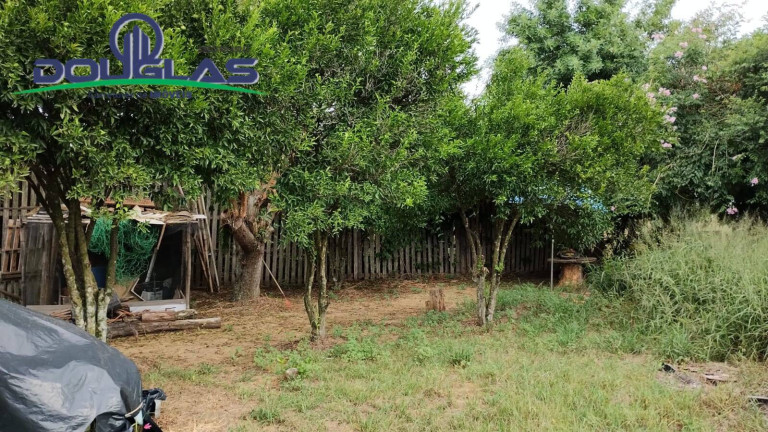 Imagem Casa com 4 Quartos à Venda, 600 m² em águas Claras - Viamão