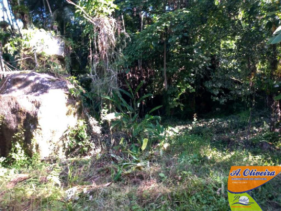 Imagem Chácara com 2 Quartos à Venda, 100 m² em Corcovado - Ubatuba Imagem Chácara com 2 Quartos à Venda, 100 m² em Corcovado - Ubatuba