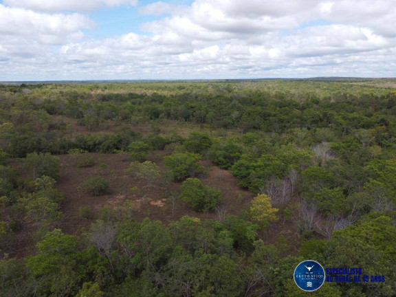 Imagem Fazenda à Venda, 245 m² em Zona Rural - Palmeirante Imagem Fazenda à Venda, 245 m² em Zona Rural - Palmeirante