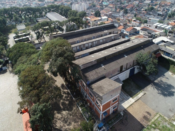 Imagem Terreno à Venda, 60.000 m² em Centro - São Paulo