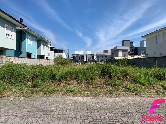 Imagem Terreno à Venda, 450 m² em Ribeirão Da Ilha - Florianópolis Imagem Terreno à Venda, 450 m² em Ribeirão Da Ilha - Florianópolis