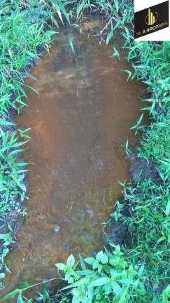 Imagem Imóvel com 2 Quartos à Venda, 24.200 m² em Lagoa Dos Ferreira - Mandirituba Imagem Imóvel com 2 Quartos à Venda, 24.200 m² em Lagoa Dos Ferreira - Mandirituba