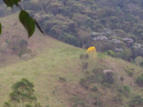Imagem Fazenda à Venda, 600 m² em Lagoa - Paraibuna