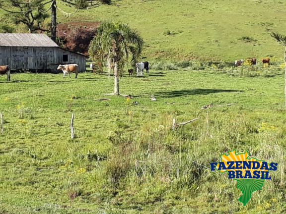Imagem Imóvel com 1 Quarto à Venda, 100 m² em área Rural De Lages - Ponte Alta Imagem Imóvel com 1 Quarto à Venda, 100 m² em área Rural De Lages - Ponte Alta