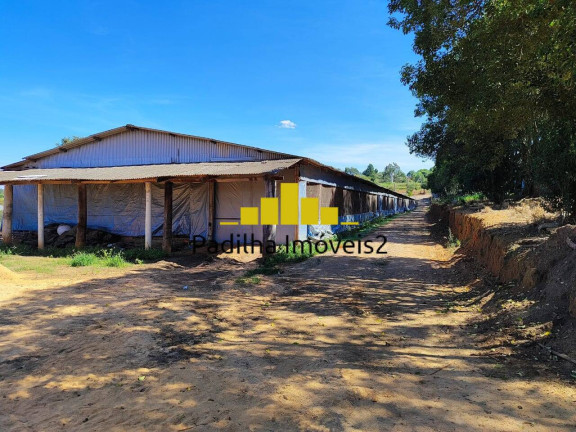 Imagem Fazenda à Venda, 30 m² em Itapetininga Imagem Fazenda à Venda, 30 m² em Itapetininga