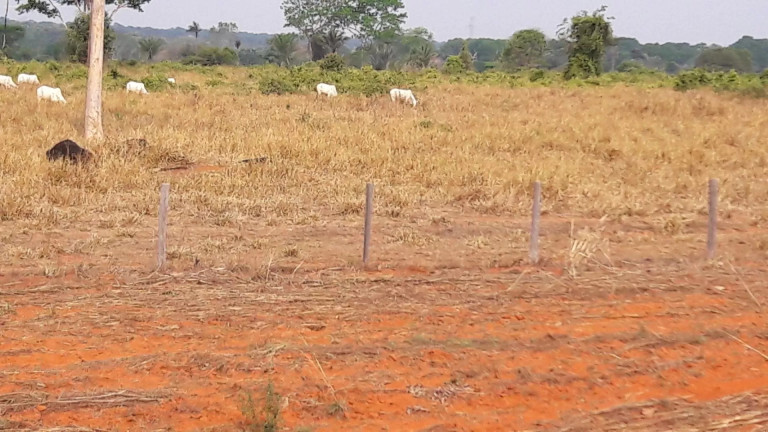Imagem Fazenda à Venda, 242 m² em Zona Rural - Itaúba Imagem Fazenda à Venda, 242 m² em Zona Rural - Itaúba
