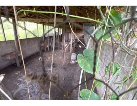 Imagem Imóvel à Venda, 8.000 m² em área Rural De Bauru - Bauru Imagem Imóvel à Venda, 8.000 m² em área Rural De Bauru - Bauru