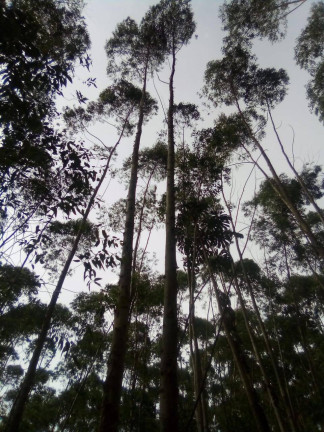 Imagem Terreno à Venda, 1 m² em Parque Santo Antônio - Jacareí Imagem Terreno à Venda, 1 m² em Parque Santo Antônio - Jacareí