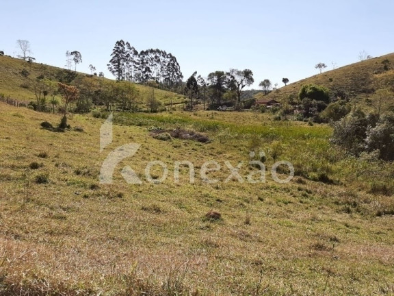 Imagem Chácara com 3 Quartos à Venda, 200 m² em Cedro - Paraibuna Imagem Chácara com 3 Quartos à Venda, 200 m² em Cedro - Paraibuna