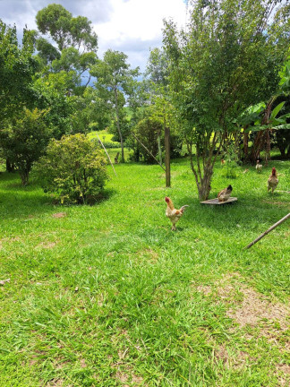 Imagem Chácara com 3 Quartos à Venda, 48 m² em Jardim Vieira De Moraes - Itapetininga Imagem Chácara com 3 Quartos à Venda, 48 m² em Jardim Vieira De Moraes - Itapetininga