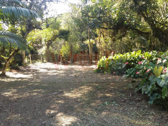 Imagem Terreno à Venda, 12.904 m² em Saiva - Antonina Imagem Terreno à Venda, 12.904 m² em Saiva - Antonina