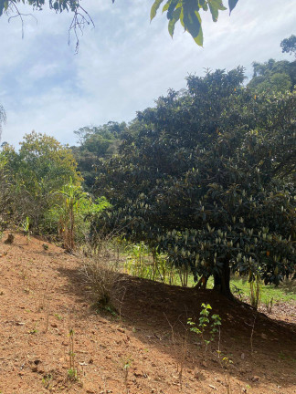 Imagem Chácara com 5 Quartos à Venda, 300 m² em Paiol Grande - Joanópolis Imagem Chácara com 5 Quartos à Venda, 300 m² em Paiol Grande - Joanópolis