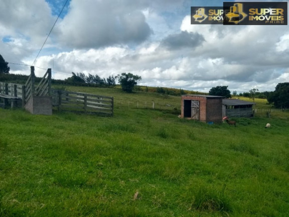 Imagem Imóvel com 8 Quartos à Venda, 60.000 m² em Centro - Canguçu