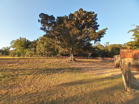 Imagem Casa com 2 Quartos à Venda, 6 m² em águas Claras - Viamão