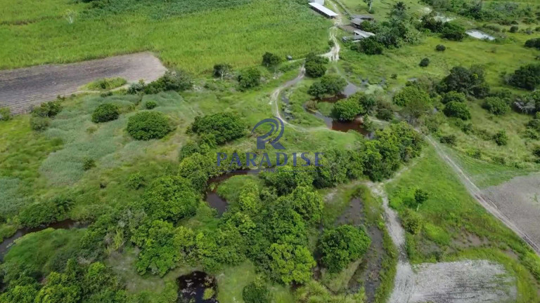 Imagem Fazenda à Venda, 1.960.000 m² em Zona Rural - Cardeal Da Silva Imagem Fazenda à Venda, 1.960.000 m² em Zona Rural - Cardeal Da Silva