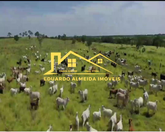 Imagem Imóvel à Venda,  em Barreira Da Onça - Arraias