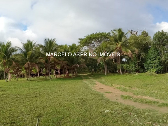 Imagem Imóvel com 3 Quartos à Venda, em Carobeira - Ilhéus Imagem Imóvel com 3 Quartos à Venda, em Carobeira - Ilhéus