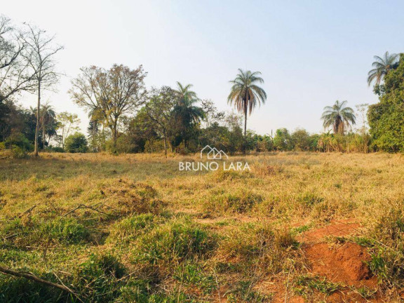 Imagem Imóvel à Venda, 12.000 m² em Cidade Nova - Igarapé Imagem Imóvel à Venda, 12.000 m² em Cidade Nova - Igarapé