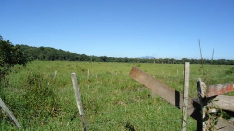 Imagem Imóvel à Venda, 250.000 m² em Santa Catarina - Joinville