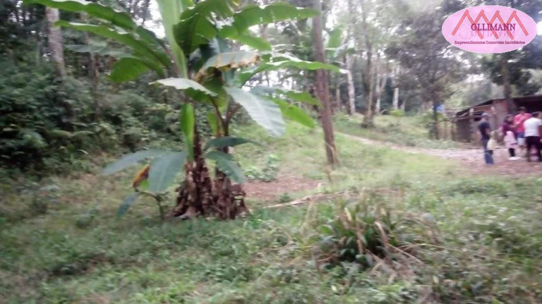 Imagem Imóvel com 2 Quartos à Venda, 76 m² em Parque Billings - Santo André