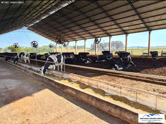 Imagem Fazenda à Venda, 80 m² em Rural - Emilianópolis Imagem Fazenda à Venda, 80 m² em Rural - Emilianópolis
