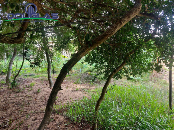 Imagem Casa à Venda, 530 m² em Viamão